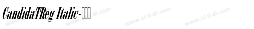 CandidaTReg Italic字体转换